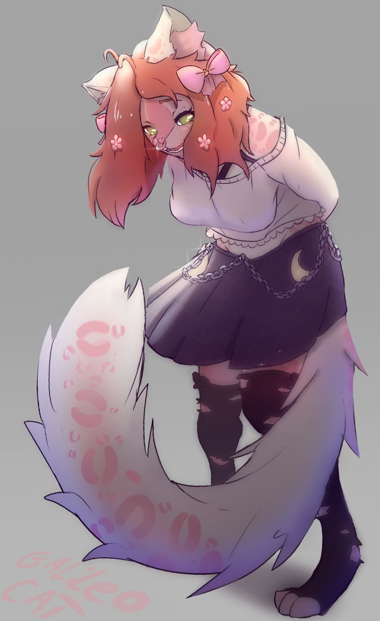 GalileoCat01